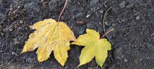 IMG_20240831_125527288