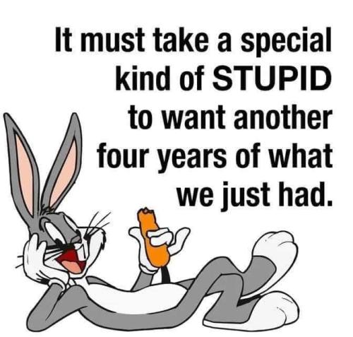 FB_IMG_1726597131381