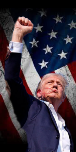 Polish_20240824_120902018