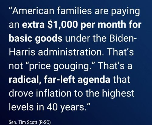 image_2024-09-09_065017277