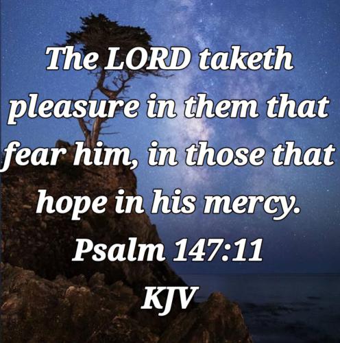 4e4de99a-dce5-4506-a84b-fc608598a477