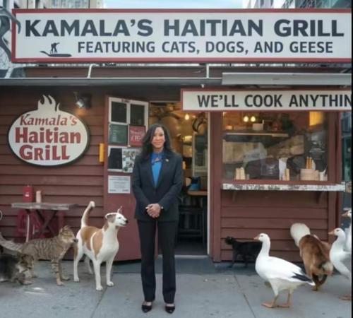 kamalas haitian grill