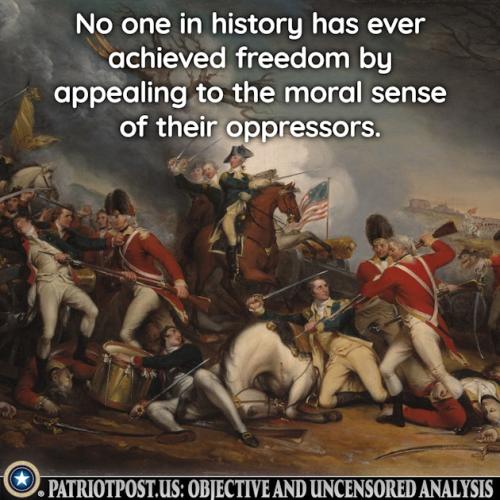 01J8P4N6FJ41VBJ0YASAWCXJHM