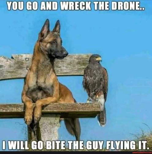 3525e3d1f8b46f298f94be28850b4efeaff511f62def9ae9dfbf7a06e6833d13_1