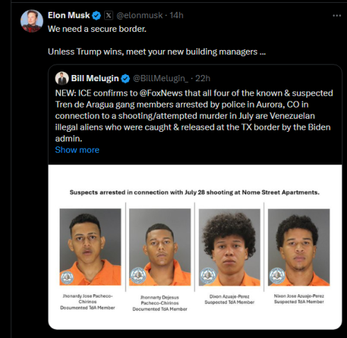 Elon Musk secure borders tweet