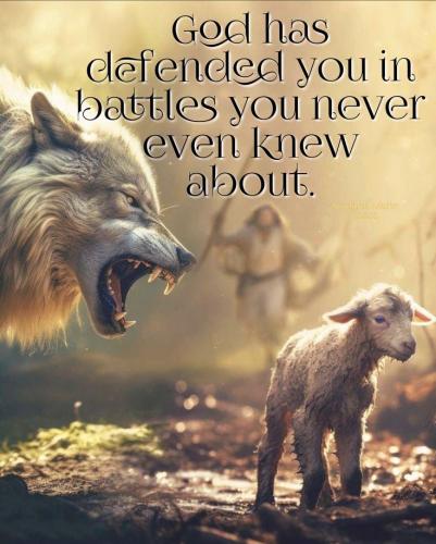 fd6ec9c9cc9e6d299f88772b5114f435