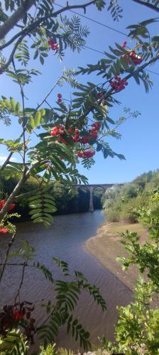 IMG_20240831_124235584