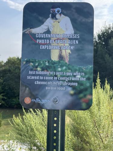 IMG_20240917_021229_253