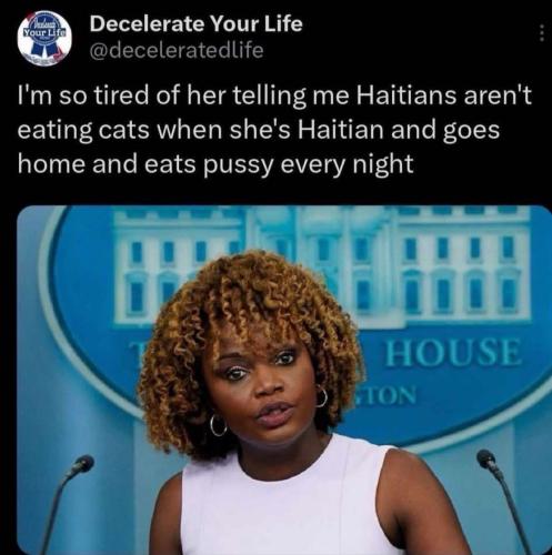 image_48D6A0D5-C45F-4C5F-B1AD-C9AC7AD6D608