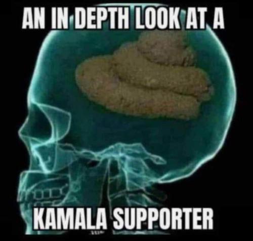 95ba68e57076109877a51d5eb0b2cac4_1024