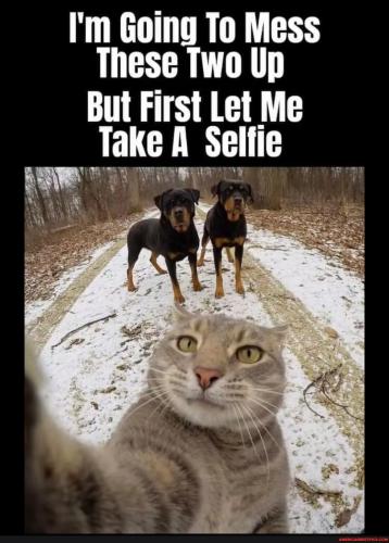 05a0211d4fdcff29d811d215c45a6e412a76d6c6614571a9f9442d021a651eca_1