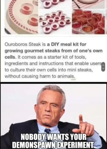 459556049_122179550090228255_4890491917699170046_n