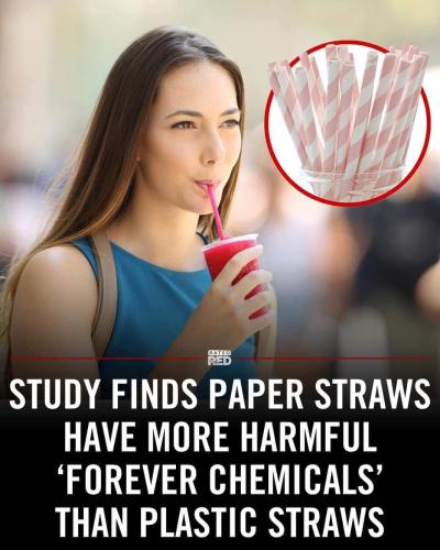 FB_IMG_1725564607208