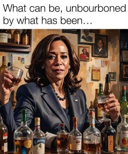 xephula_b13d8b7ed431635008aa8fc53048fbac