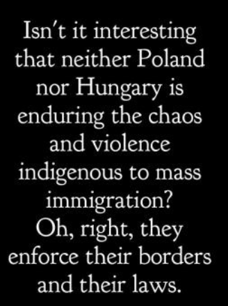 image_2024-09-24_061007524