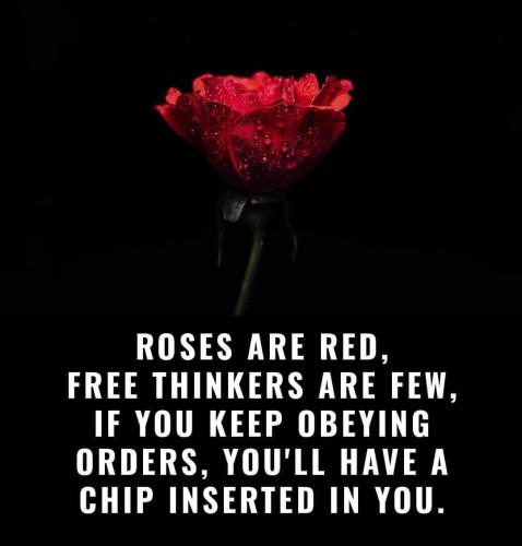 Roses are Red