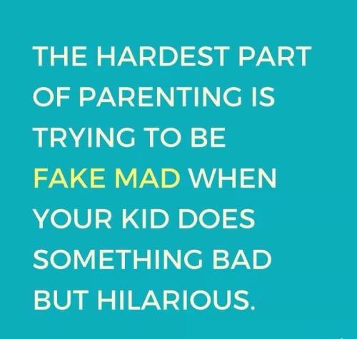 813C58DA-5B49-4D00-98B7-75BAEE02DB11