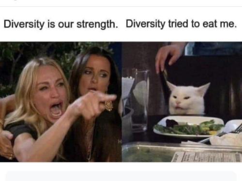 Screenshot_20240913_220211_Facebook