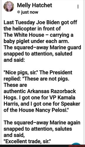 49de872df192030ccfc264fb3a393288d3456dabf0b340408b48f44e144cd3e2_1