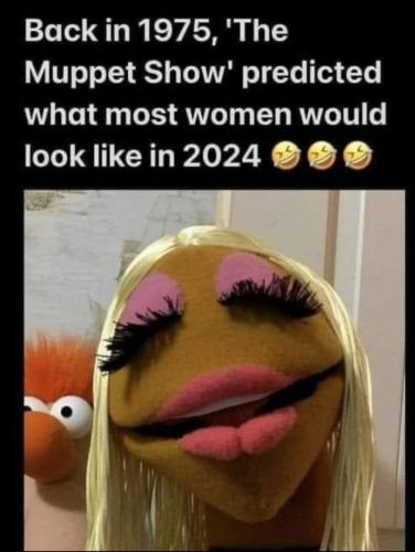 image_829E4971-F34E-4884-B87A-C2266A41D34F