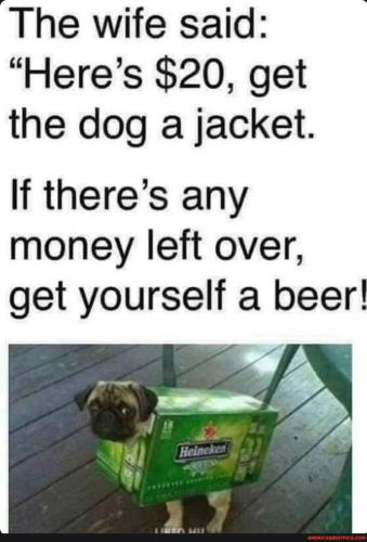 319fbfc877d6bb2684080bf713367e656a015987829e043a4765bb49cf8e01dc_1