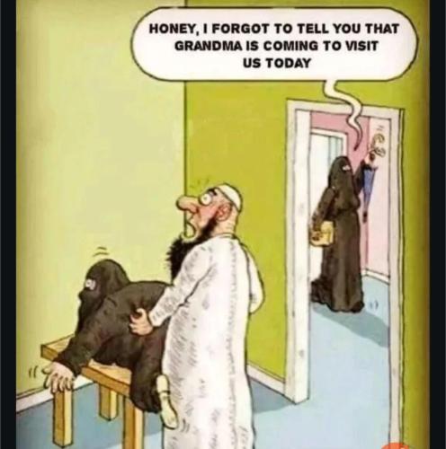 image_F464CC91-B852-4838-A631-F07F83553ED7