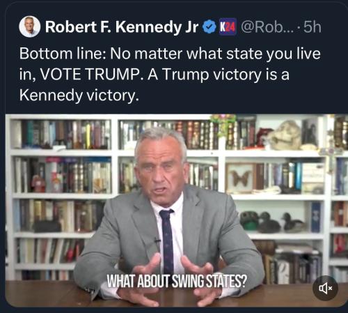 photo_2024-09-10_18-28-47