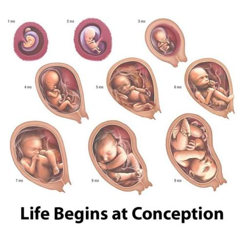 FB_IMG_1726418499302