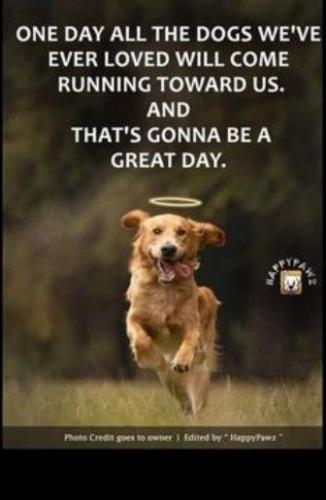 a6fc736a4b72a2d14710c1867eb0f655