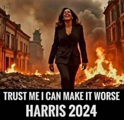 image_2024-09-03_062121372