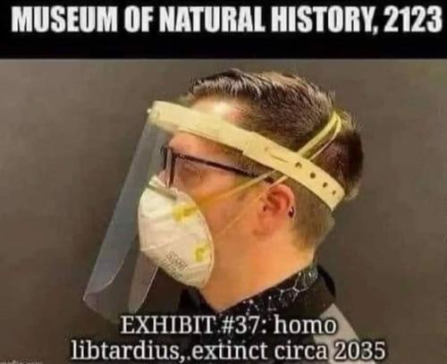 natural history