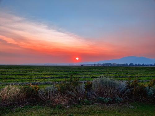 IMG_20240906_185507015_AE~2