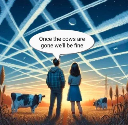 once the cows are gone