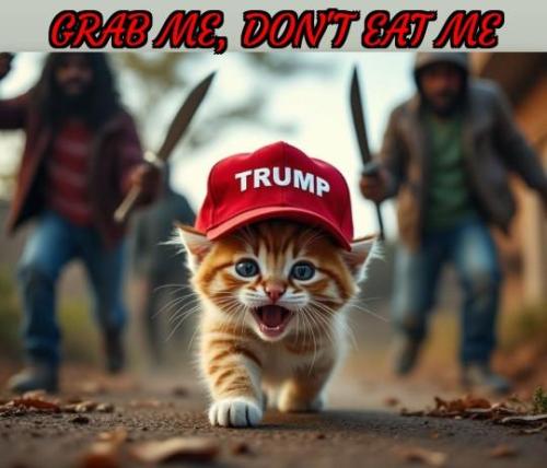 6d8ac55c-c899-4281-b2c2-6f101f9e04e7