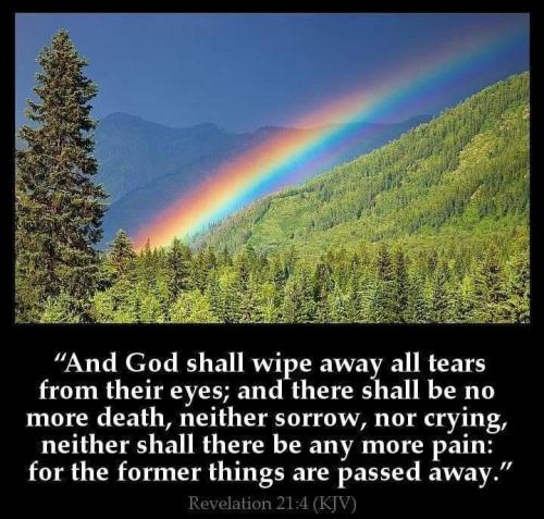 58dab4c5-09fd-40f0-87a6-17b61b21c181