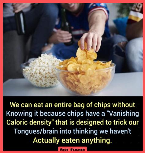 entire bag of chips