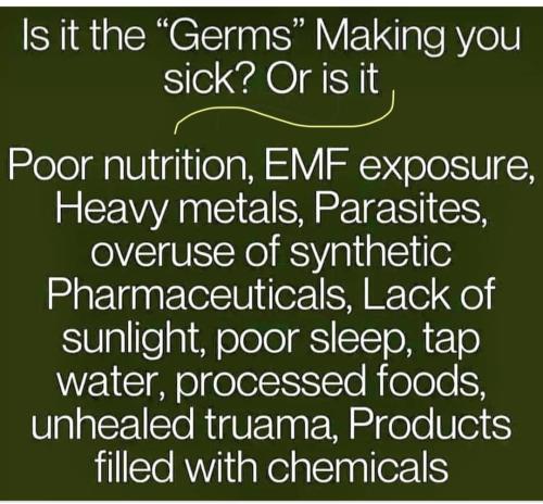 Screenshot_20240917_011634_Facebook