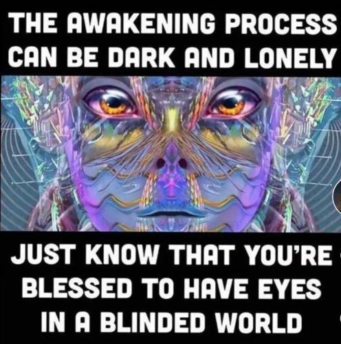 IMG_20240914_125210_453