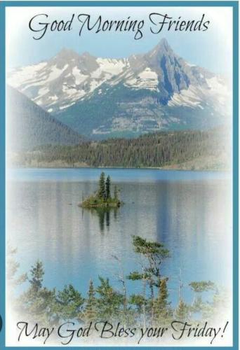 Screenshot_20240920_085438_Google