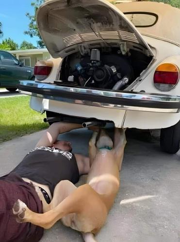 FB_IMG_1726280869716