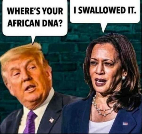 image_A86EB928-A84C-4922-B87C-54807132468B