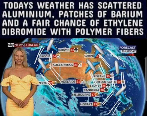 image_0E41943C-AEC5-4518-866A-E28CBA6A219A