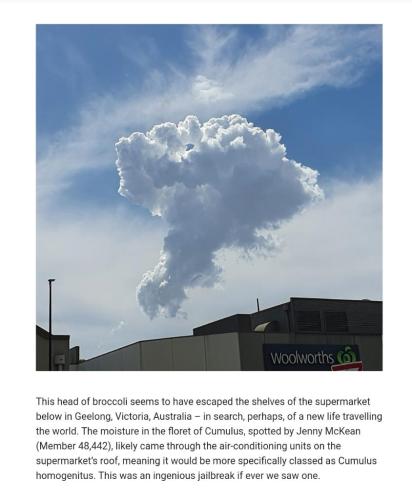 569c2ee0-25b3-4cd8-8c2d-e72d3574bdd7