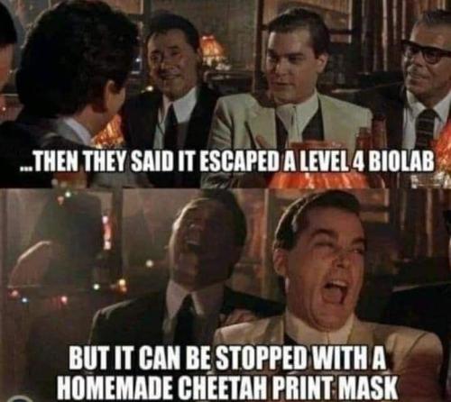 IMG_20240923_072409_555