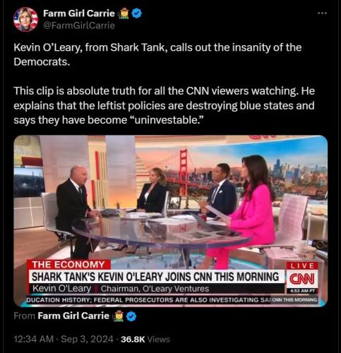 Screenshot 2024-09-03 071525