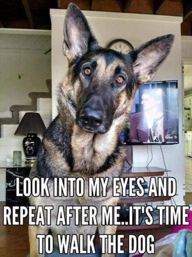 4d0446402ab939ff11db8318ff1960f3