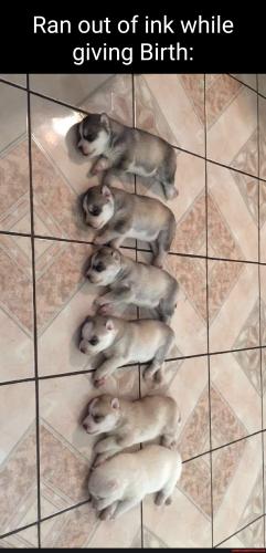 15ab6528e4943eb2a278ef25b8617ba4996b70bb1bbe5a7f29dce43b08fc38ec_1