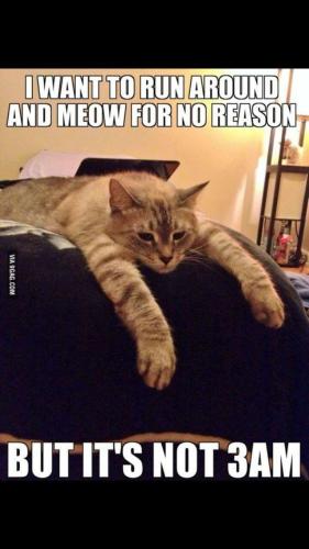 3158db723790ad62d18bd1402cc14ca3 (1)