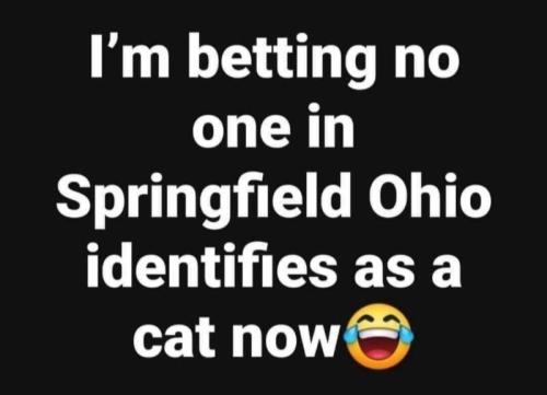 Nobody in Springfield identifies as a cat now