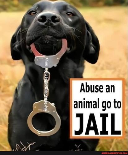 7c1f17c97a0c1c40767c72be6005d495f61b04aa63d18c8a749502ee37ed466a_1